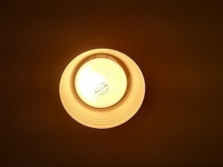 IMG_20191121_114037.jpg