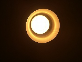 IMG_20191121_114044.jpg