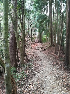 IMG_20200118_132955.jpg
