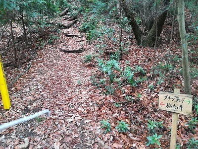 IMG_20200118_144314.jpg
